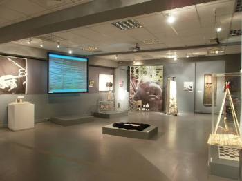 Ψηφιακές εκτυπώσεις για την έκθεση Το πρόβατο