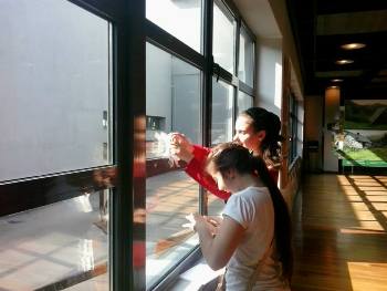 Ψηφιακές εκτυπώσεις για την έκθεση Το πρόβατο