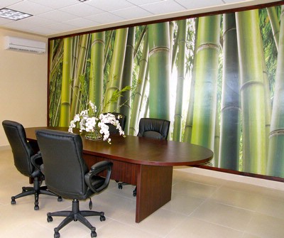 Ψηφιακή Εκτύπωση σε ταπετσαρία βυνιλίου ή αυτοκόλλητο τοίχου 